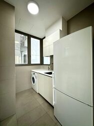 Skyline Residences (D4), Condominium #589999041